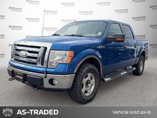 2009 Ford F-150