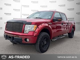 2010 Ford F-150