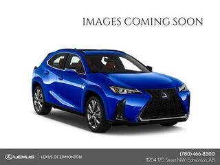 2020 Lexus UX