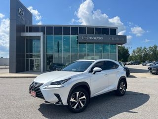 2021 Lexus NX 300h