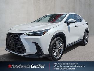 2022 Lexus NX