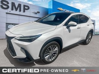 2023 Lexus NX 350