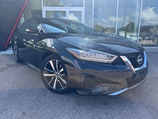 2023 Nissan Maxima