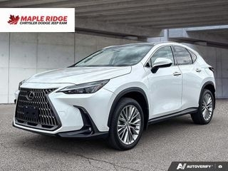 2024 Lexus NX
