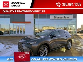 2024 Lexus NX 350