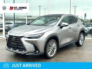2024 Lexus NX 350
