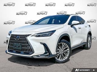 2024 Lexus NX 350