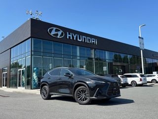 2025 Lexus NX 350h