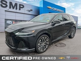 2025 Lexus RX