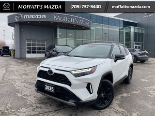 2025 Toyota RAV4