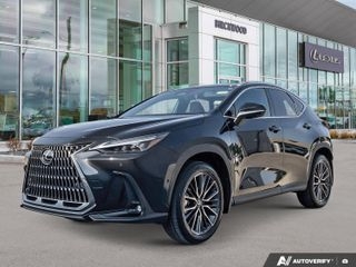 2026 Lexus NX