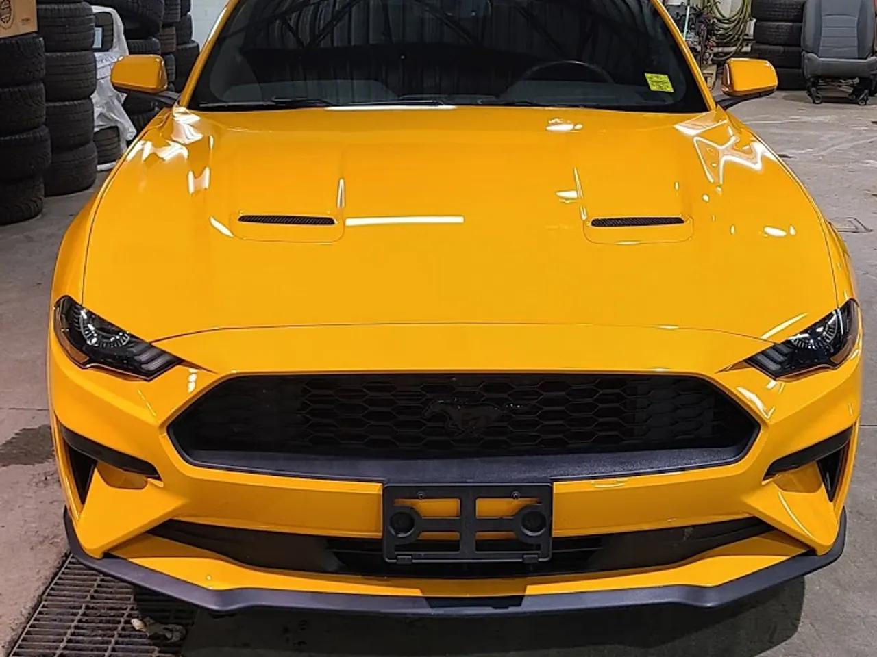Dealerships avatar